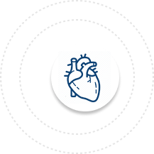 Cardiology